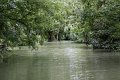 (29) Le Marais Poitevin